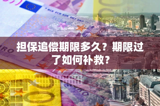 济南担保追偿期限多久？期限过了如何补救？